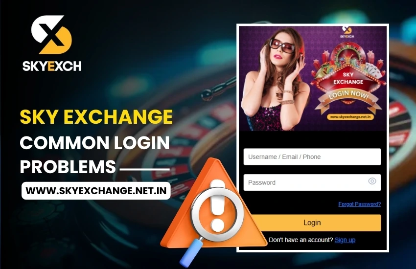 Sky Exchange Common Login Problems