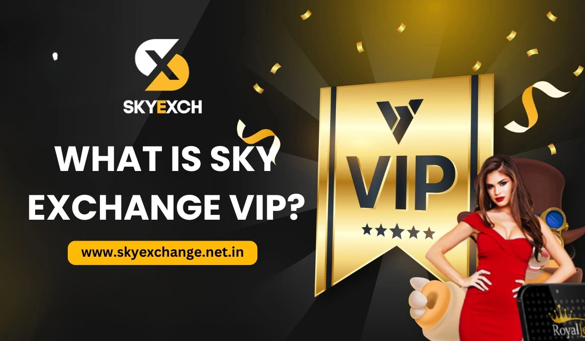 What is Sky Exchange VIP